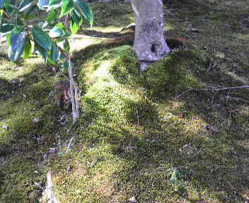 b0129041_15224150.jpg