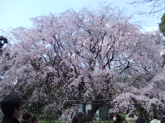 c0071545_2146540.jpg