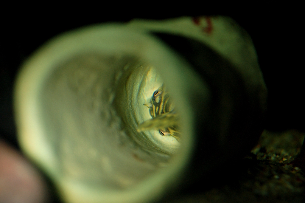 b0088646_11484382.jpg