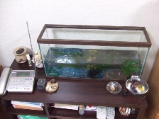 c0081552_22104269.jpg