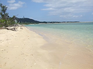 a0104162_10263614.jpg