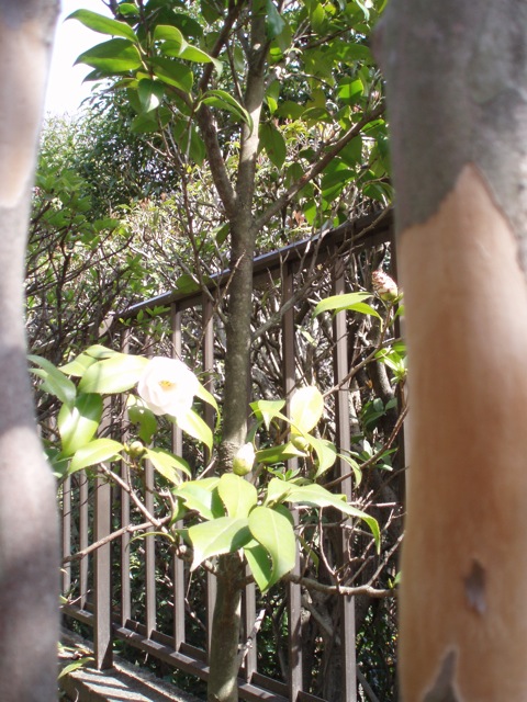 e0114371_9352079.jpg