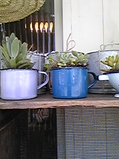 b0094280_13472848.jpg
