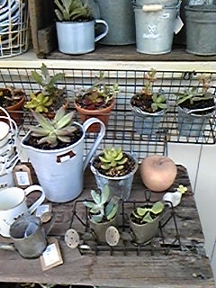 b0094280_1651343.jpg