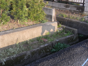 d0137083_21121374.jpg