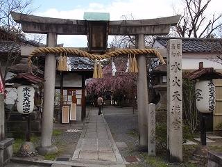 c0105785_9565829.jpg