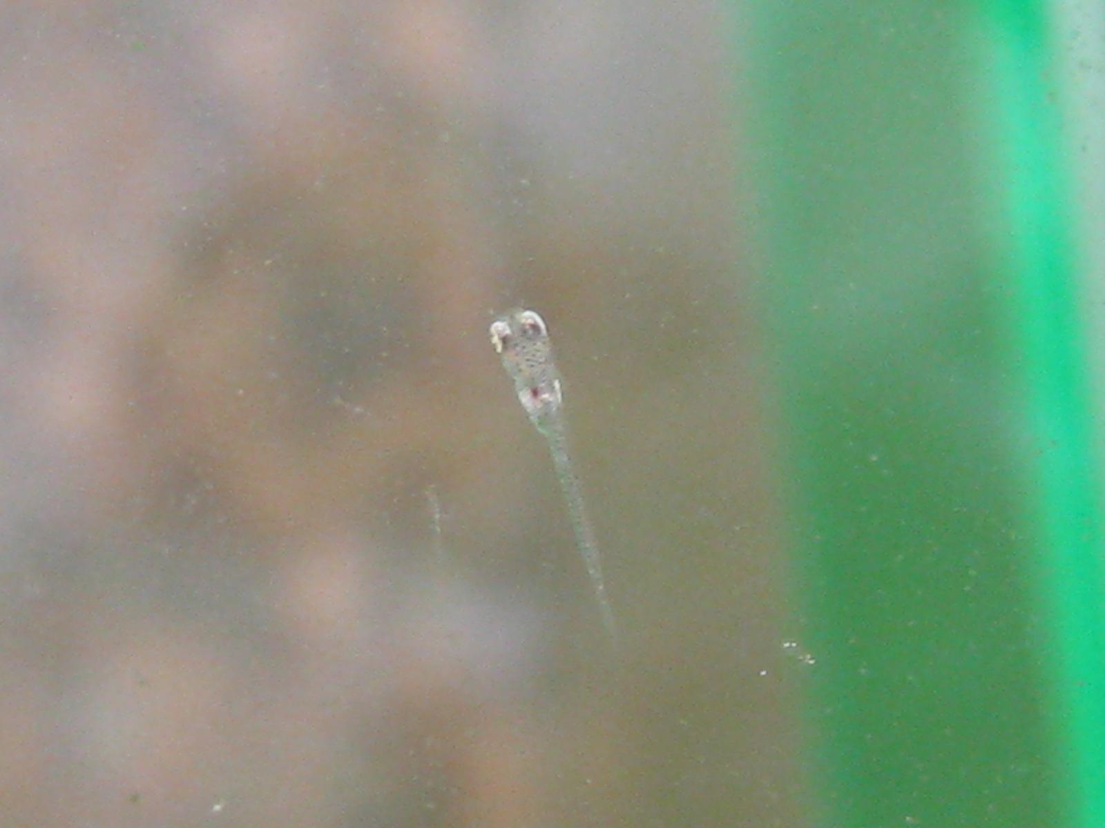 e0176785_17201019.jpg