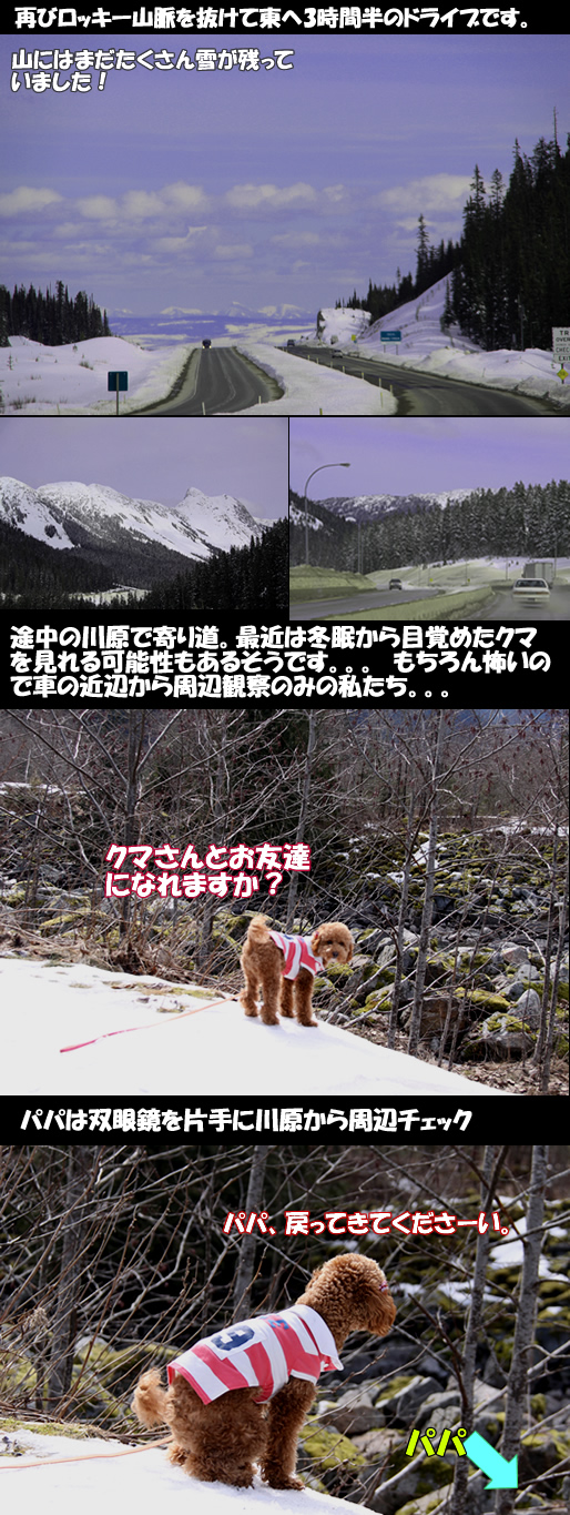 c0164491_11431741.jpg