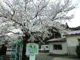 b0114392_1643839.jpg