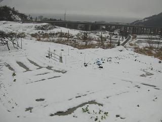 c0187298_23281612.jpg