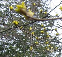 e0122199_15283990.jpg