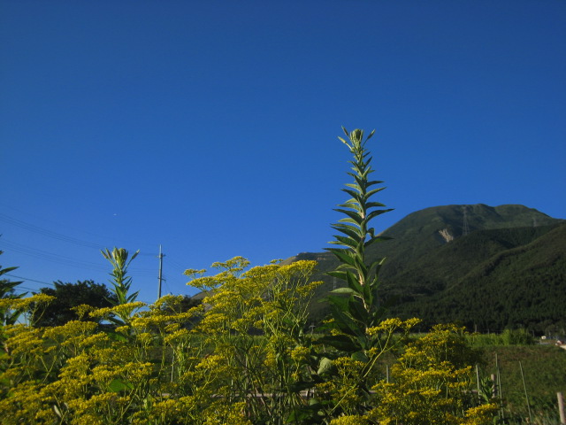 d0121300_23435739.jpg