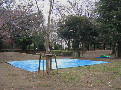 d0046702_19443970.gif