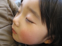 d0076603_7471411.jpg