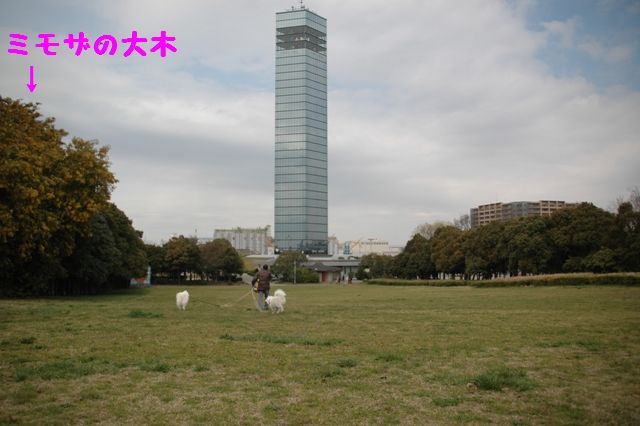 e0018604_1581727.jpg