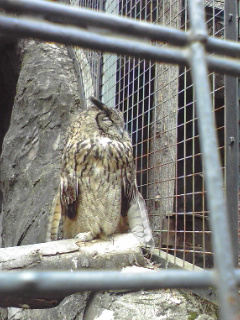 b0009206_2333422.jpg