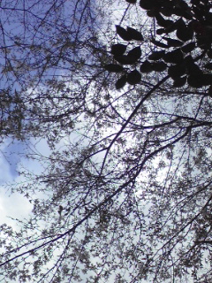 b0009206_2364858.jpg