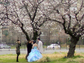 e0177509_2130984.jpg