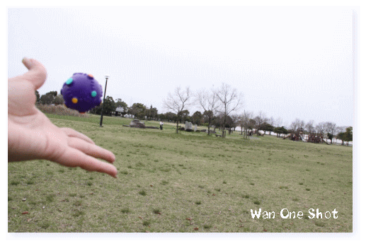 c0017311_1432472.gif