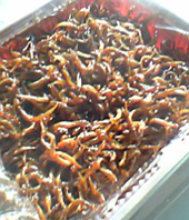 e0139312_10105653.jpg