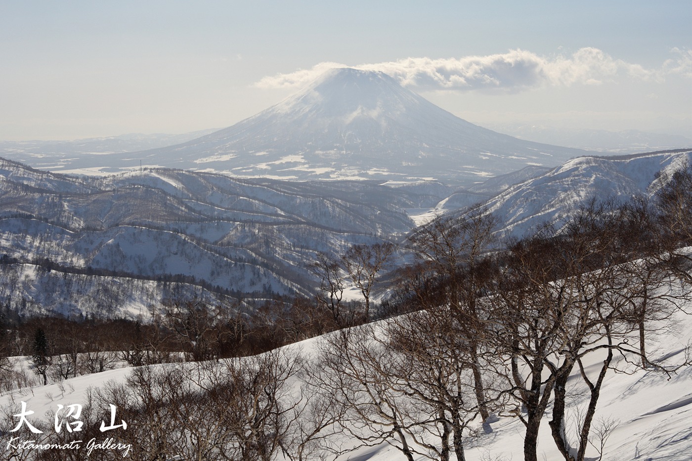 c0073613_945470.jpg