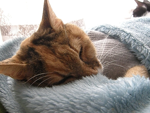 c0158916_21515791.jpg