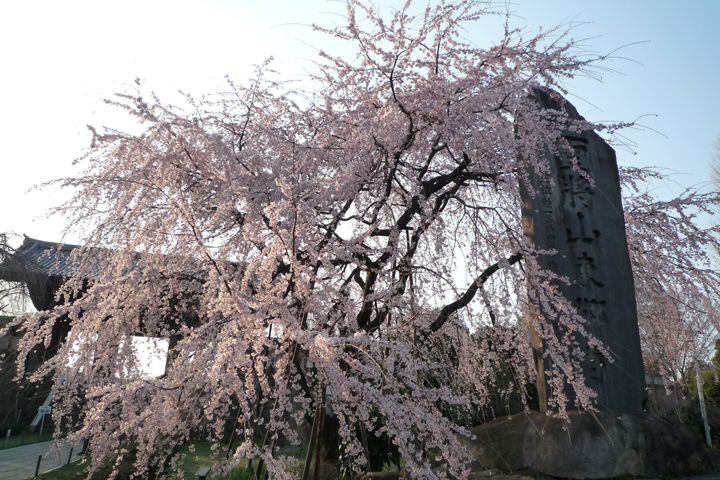 e0117516_0705.jpg