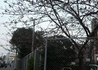 b0167519_8443410.jpg