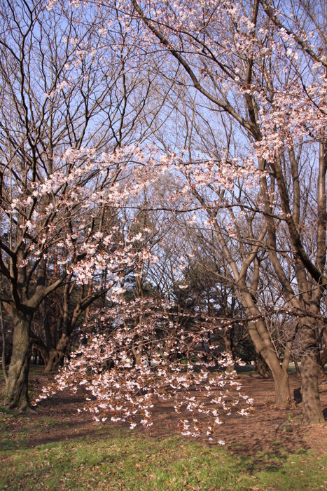 b0165522_14541696.jpg
