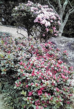 a0098027_16321497.jpg