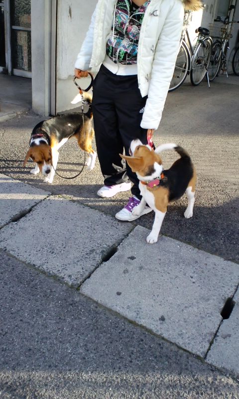 e0137731_0251091.jpg