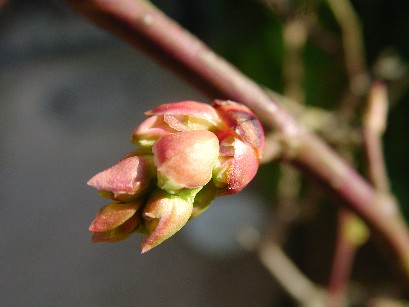 f0002833_15263634.jpg
