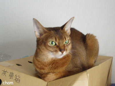 c0132438_22292823.jpg