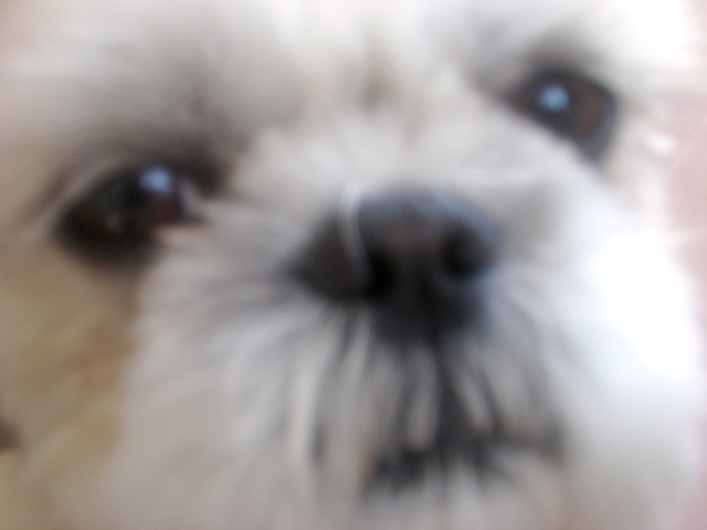 c0153444_11435795.jpg