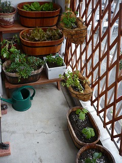 c0137145_151733.jpg