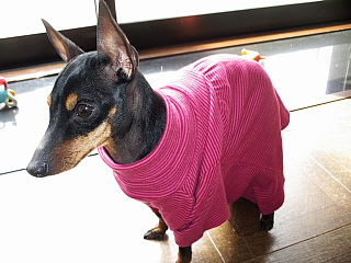 c0123149_12173623.jpg