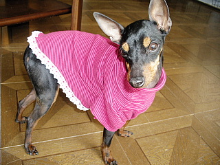 c0123149_1224492.jpg