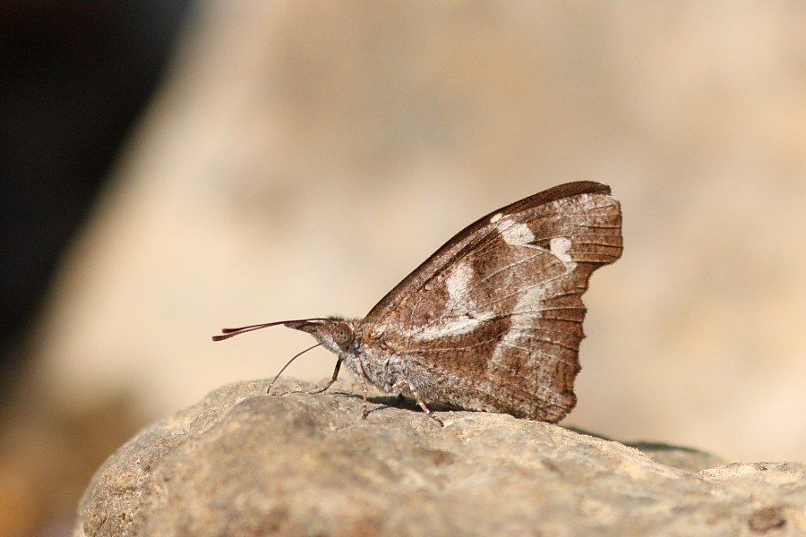 a0094850_9571313.jpg