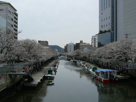 f0067354_19411252.jpg
