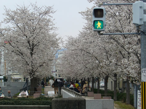 f0067354_1943240.jpg