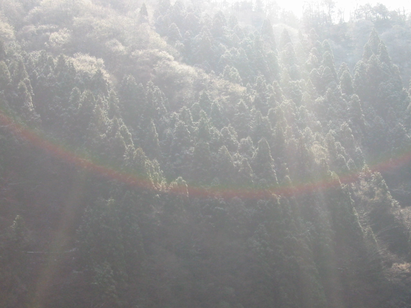 d0094868_15574015.jpg