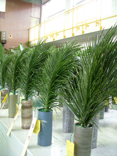 e0097770_22553832.jpg