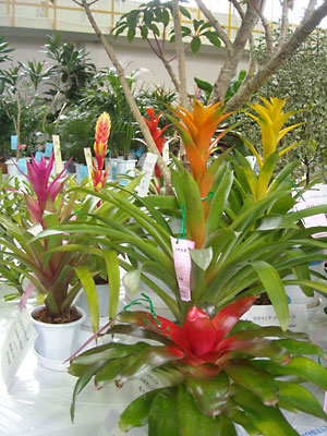 e0097770_22554422.jpg