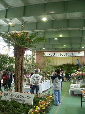 e0097770_2255537.jpg