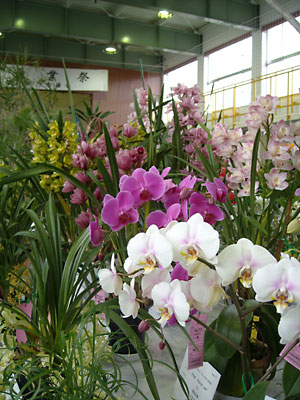 e0097770_22563724.jpg