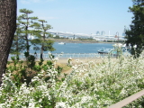 e0142170_1955558.jpg