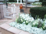 e0142170_19573350.jpg