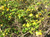 e0142170_23135598.jpg