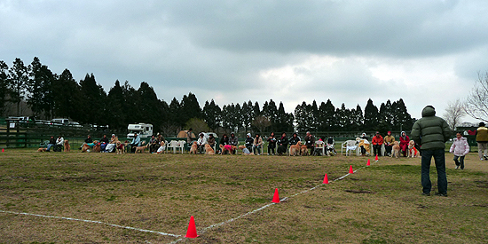 c0019774_21261388.jpg