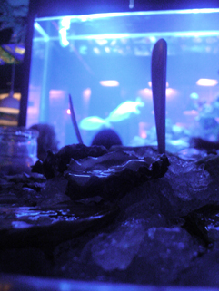 f0056476_1343652.jpg
